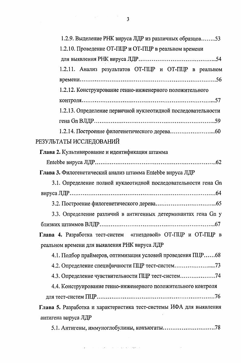 Заключение по обзору литературы