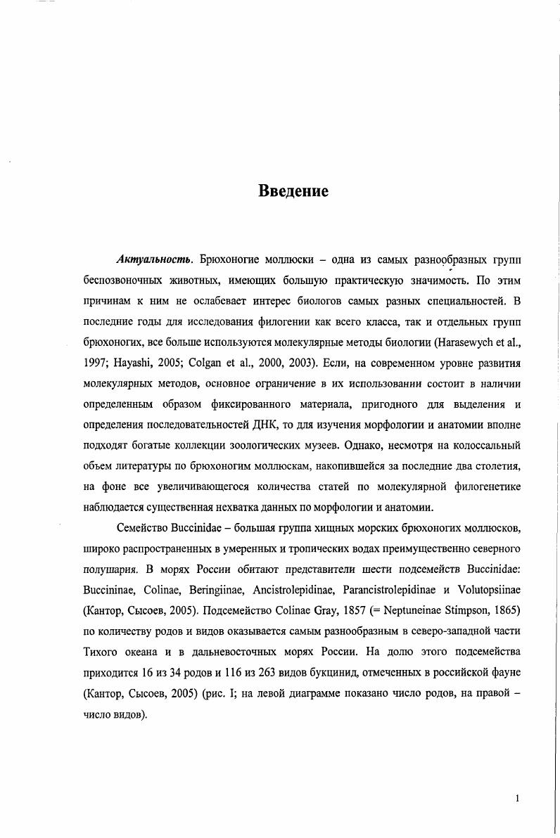 3. Морфологические особенности изученных родов i.