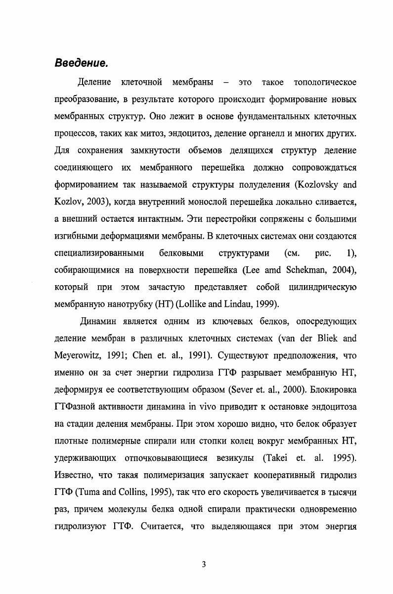 Гпава 3. Мембранные нанотрубки в модельных и клеточных системах.