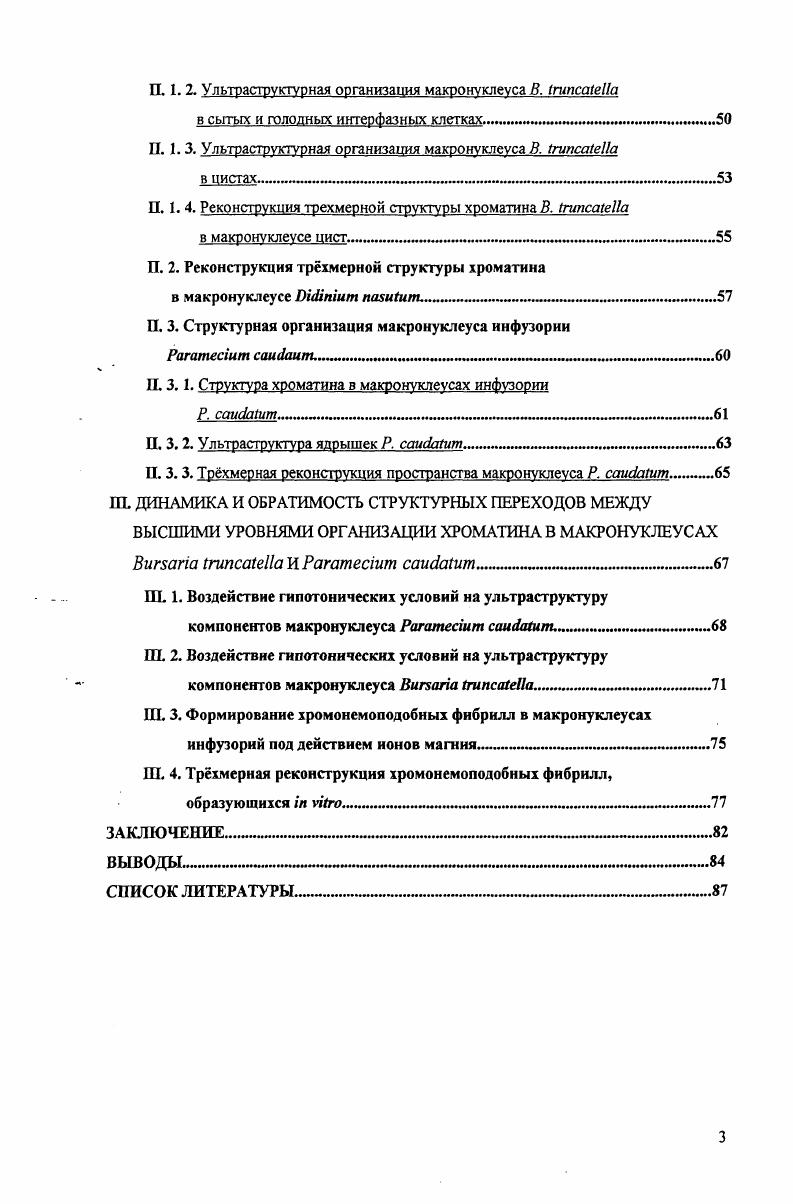 . Петельный уровень организации хроматина имимминин
