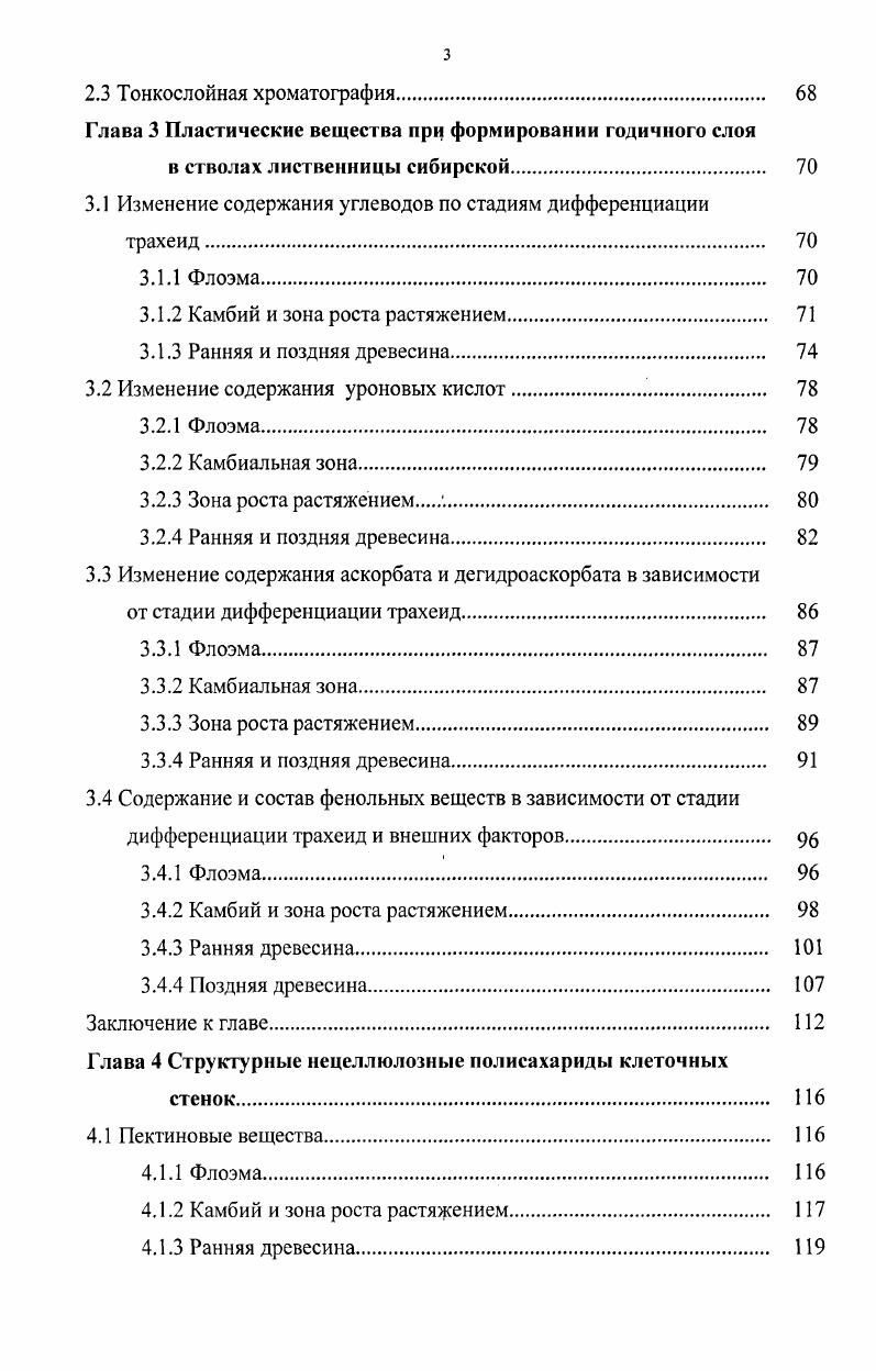 1.2 Камбий. Образование клеток камбия 