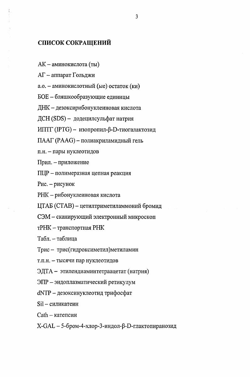 1.2. Губки  древнейшие многоклеточные организмы с кремниевым
