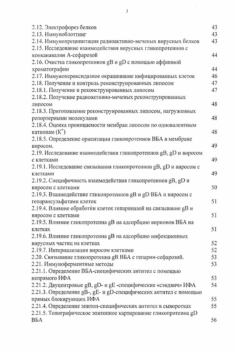 1.2. Общая характеристика вируса болезни Ауески 