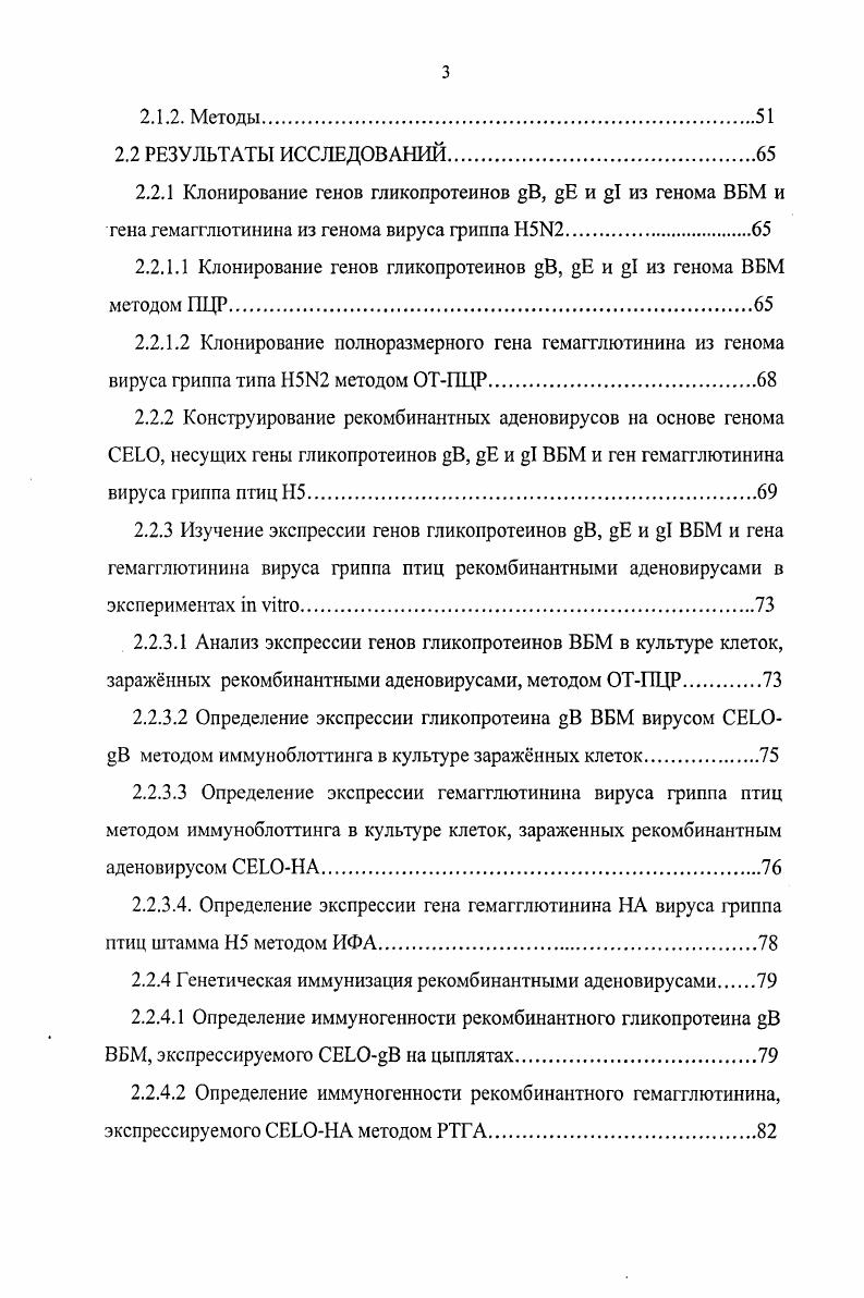 1.1.1 Типы генноинженерных векторов