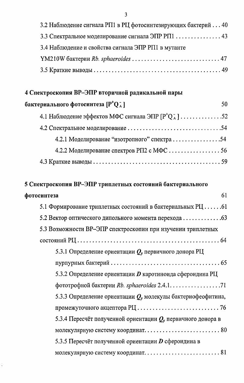 1.3 Первичные фотоиндуцированные парамагнитные состояния 