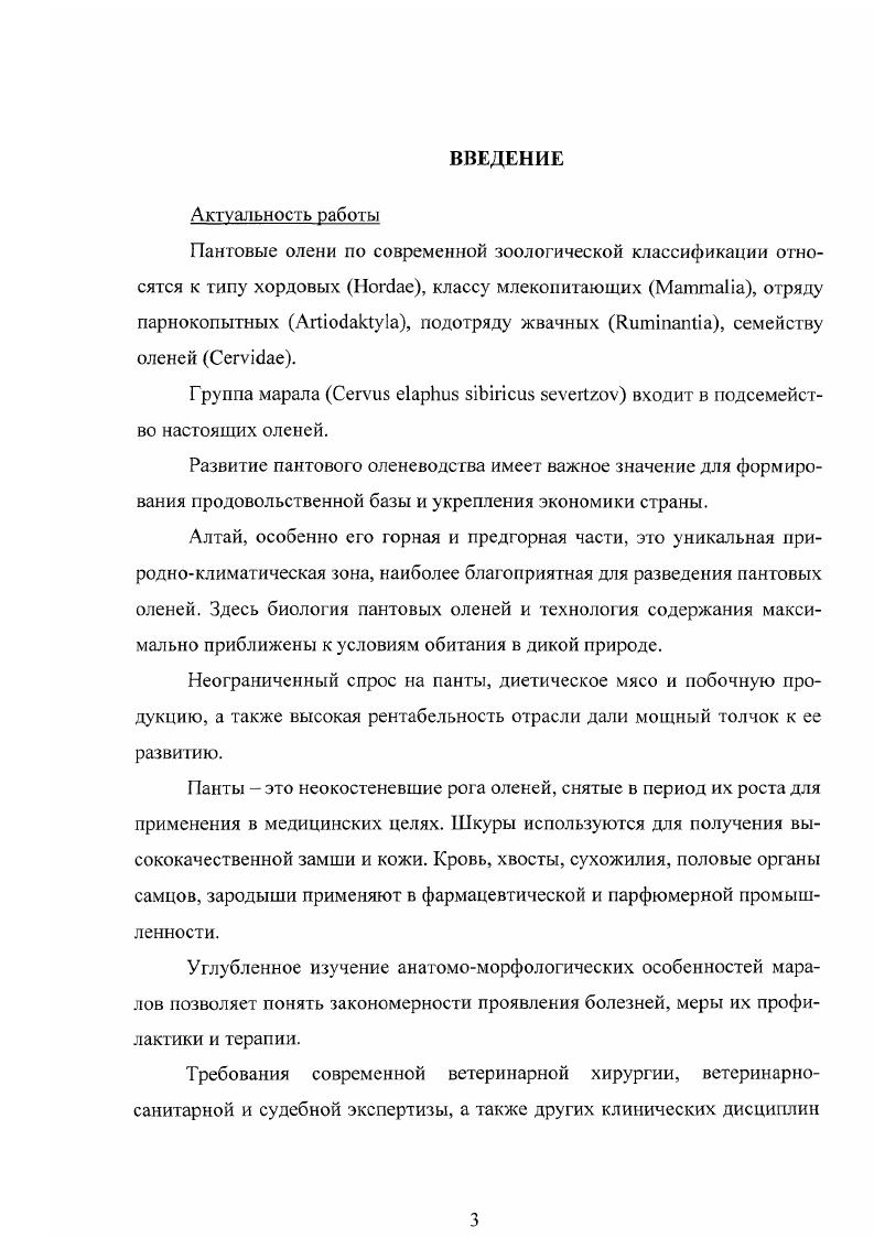 1.2.Топографическая анатомия артериального русла