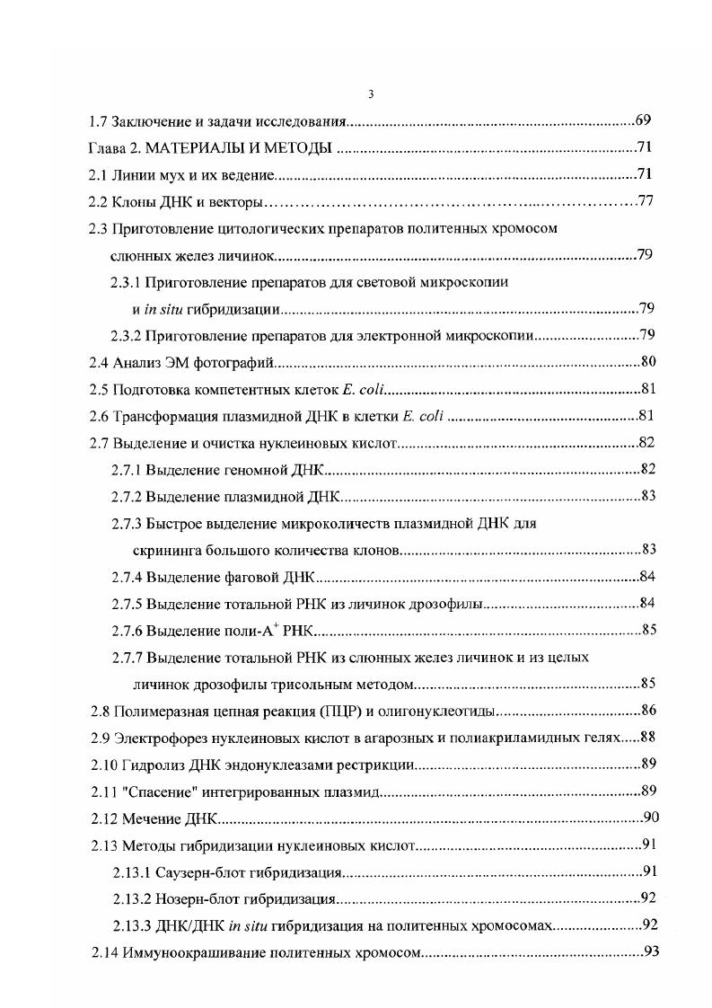 1.1 Организация интерфазных хромосом эукариот