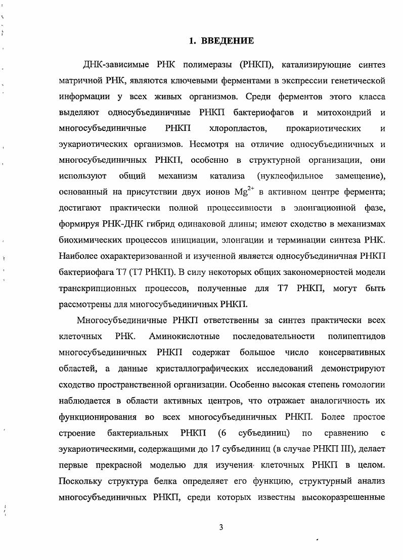 2.2. Бактериальная ДНКзависимая РНКП 