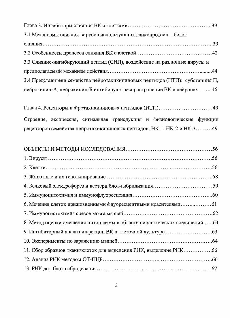 1.1 Корь, история и истоки заболевания