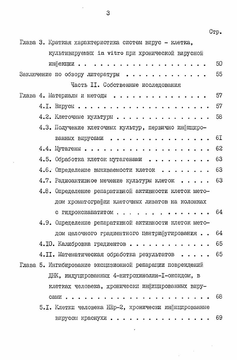в клетках человека и млекопитающих II