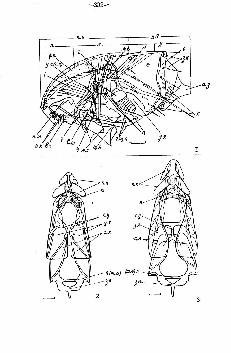 Рис i3i x . XI. I8 левая антенна снаружи, 6 правая антенна изнутри, б булава в. 