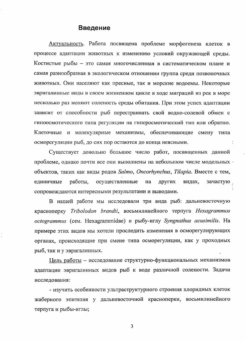 1.2. Клеточный состав жаберного эпителия.