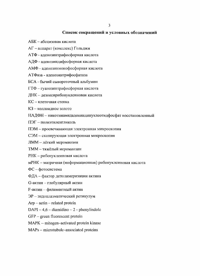1.2 Организация и элементы цитоматрикса растительной клетки.