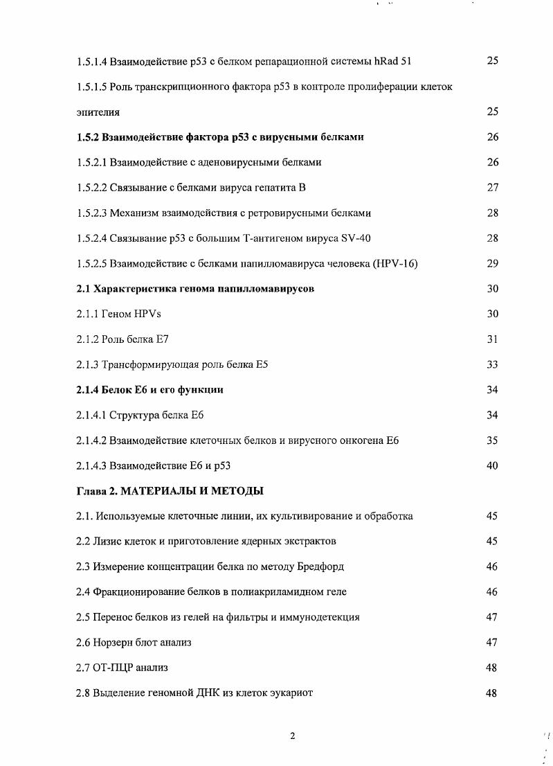 1.1.1 Молекулярная организация гена р 