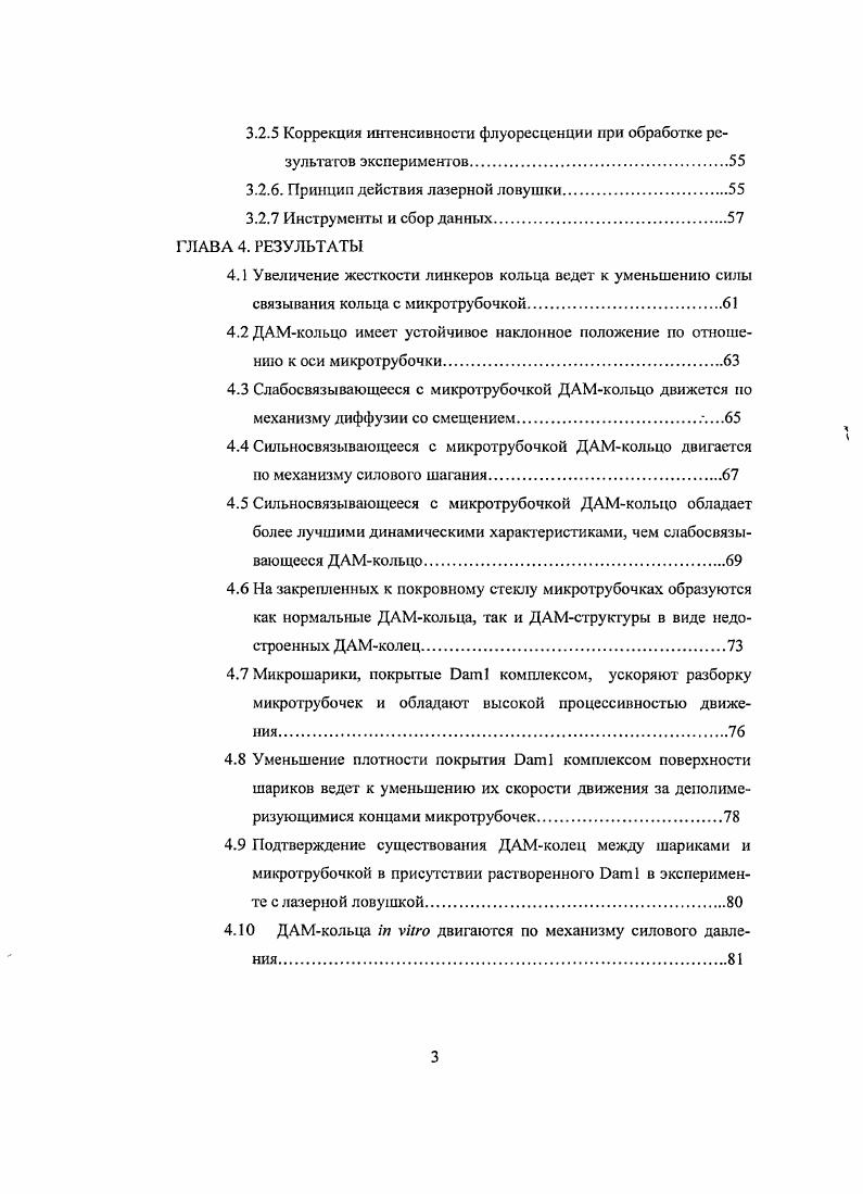 1.5 Модели взаимодействия кинетохора и микротрубочки