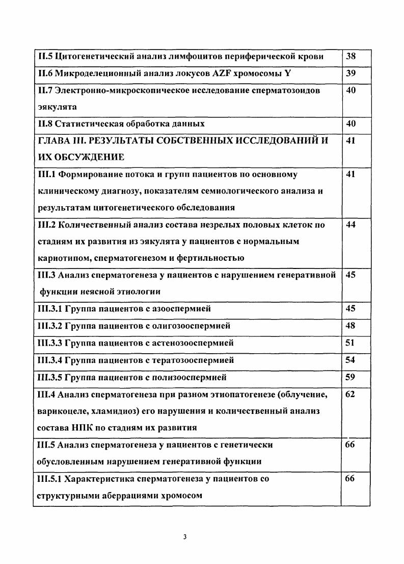 1.1.1 Гоноциты, просперматогонии, сперматогонии 