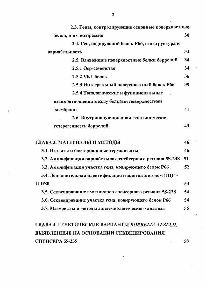 2.4. Ген, кодирующий белок Р, его структура и вариабельность 