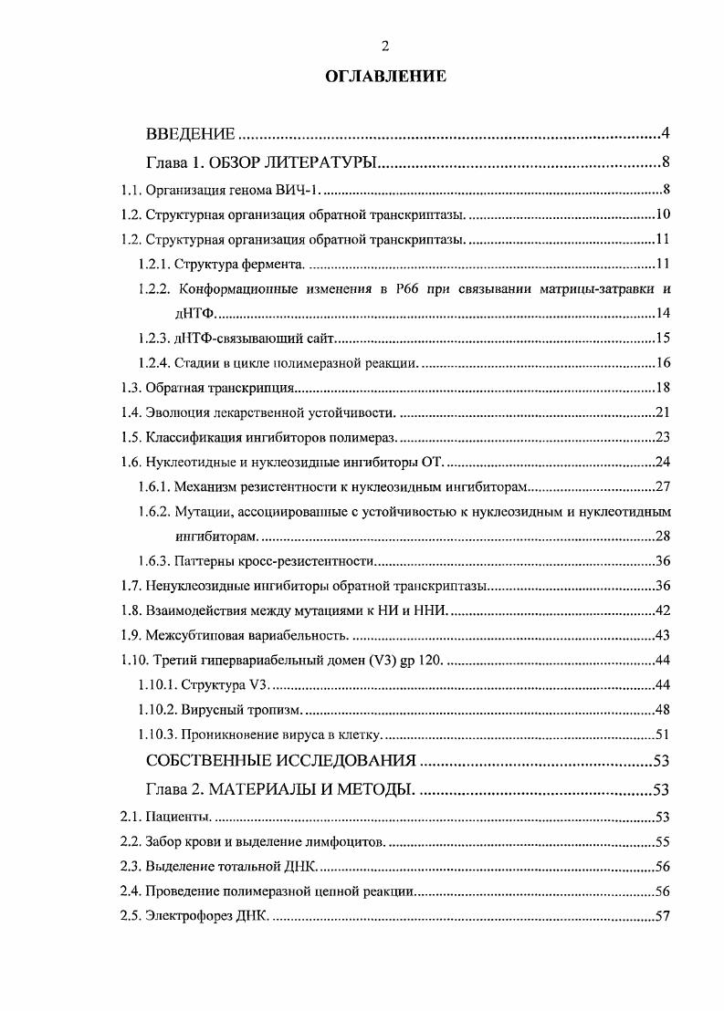 1.2. Структурная организация обратной транскриптазы.