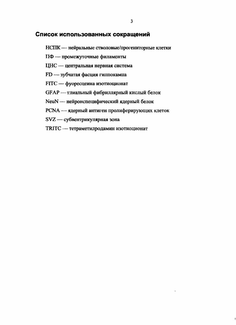 1.1. Первый день постнатального развития 