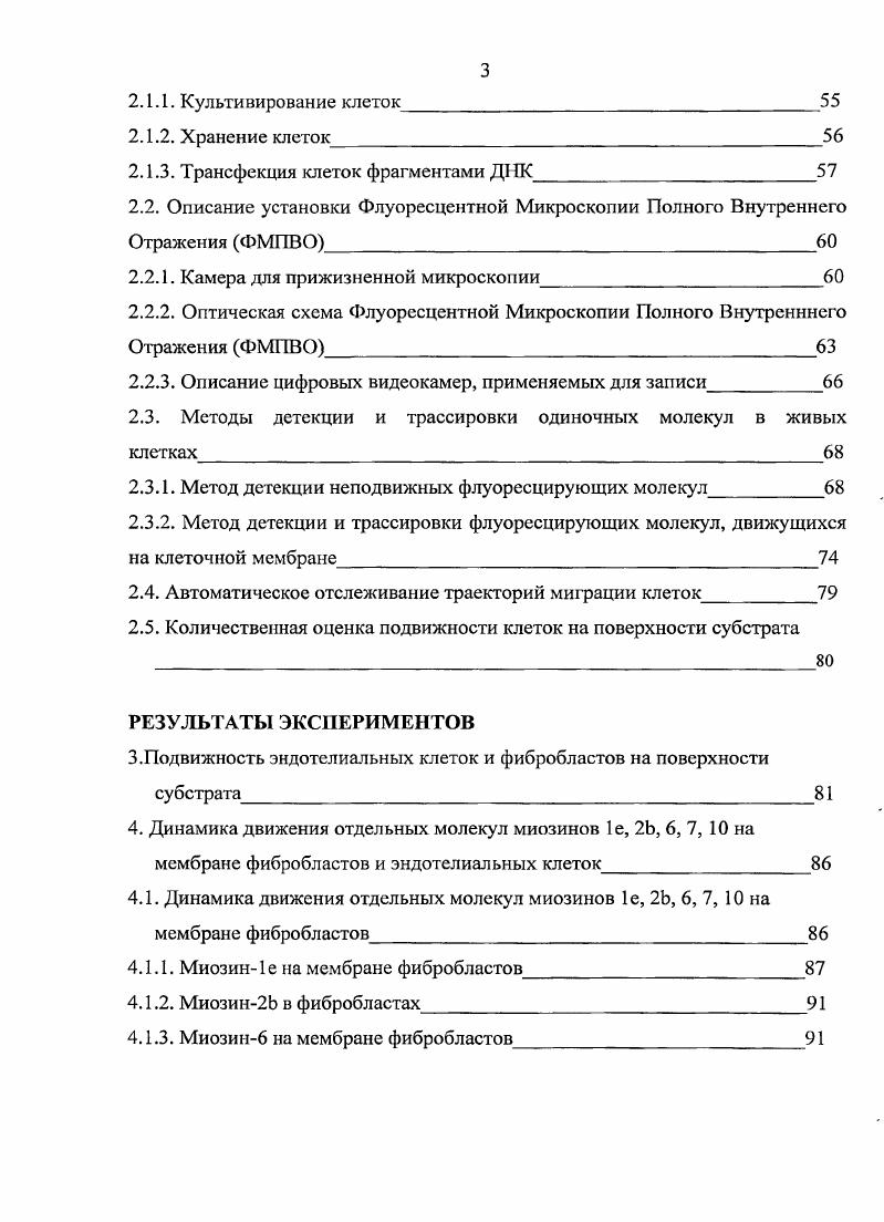 1.2. Роль цитоскелета в поддержании клеточной формы и подвижности 