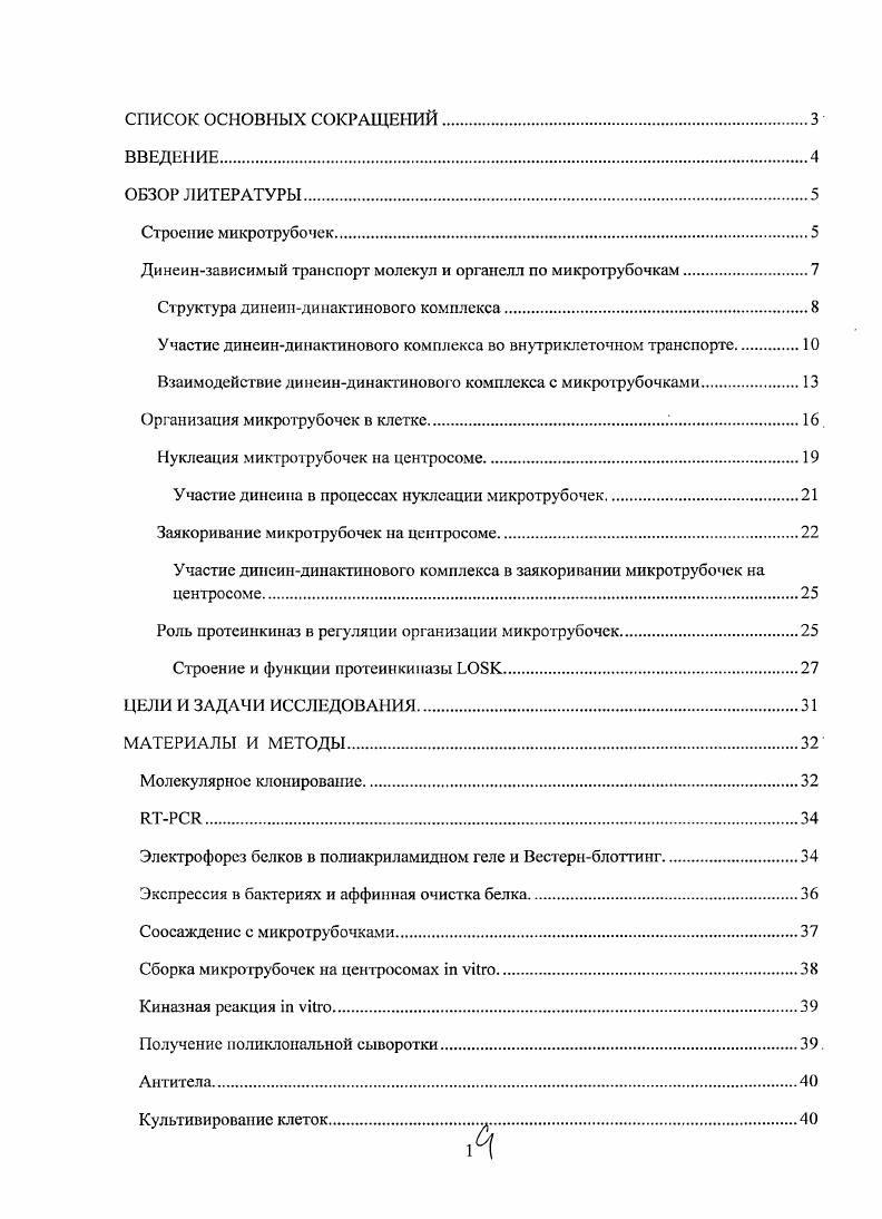 Структура динеиндинактинового комплекса.