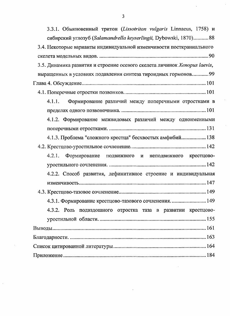 2.1. Современные представления о развитии крестцовотазового комплекса 