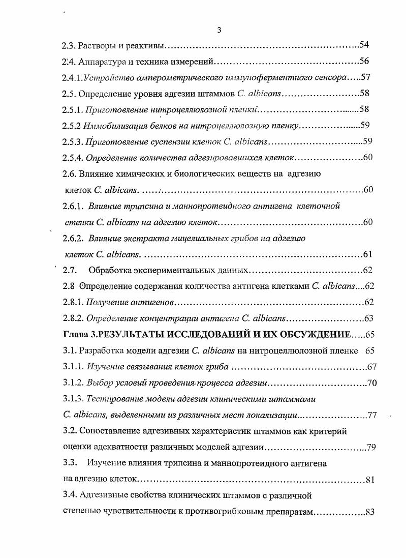 1.2 Структурно функциональная характеристика клетки