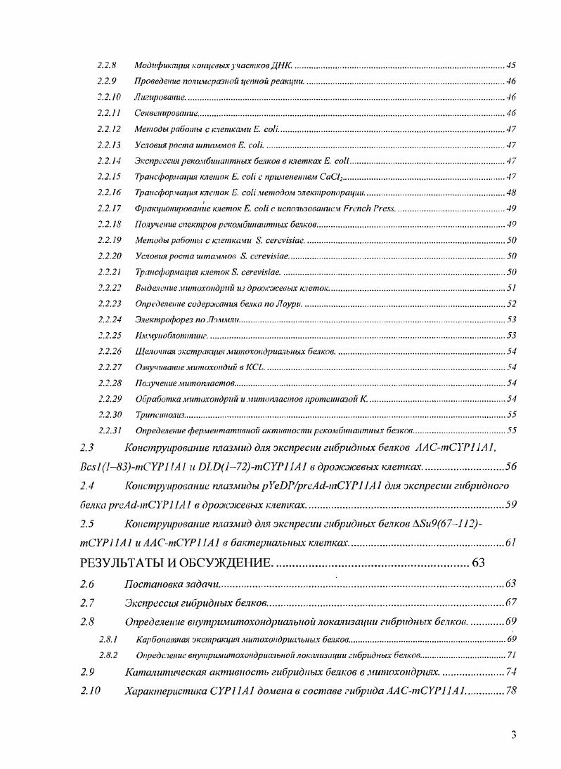 1.2 Траислоказа внешней мембраны П ОМ  комплекс