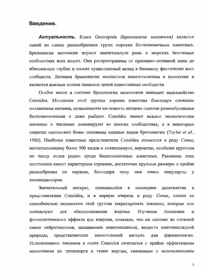 Глава 3. Морфологическая часть.