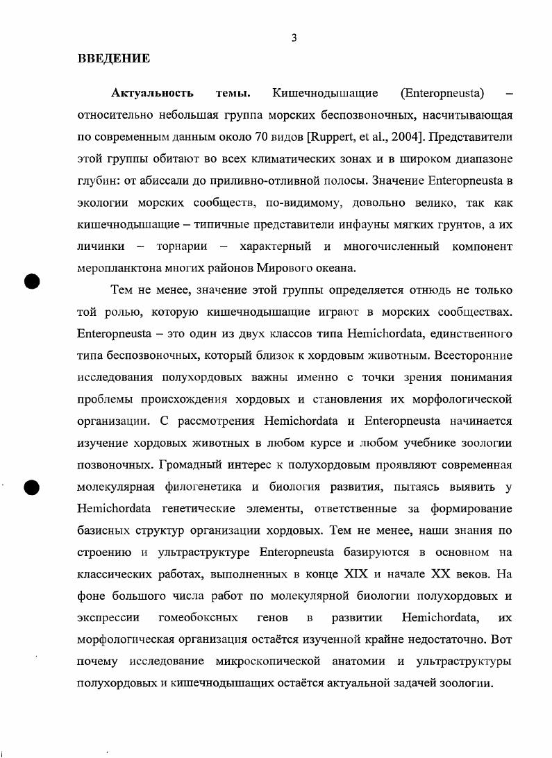 4.1. Микроскопическая анатомия