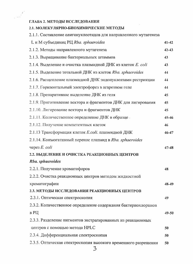 1.1.1. Филогения, морфология, метаболизм