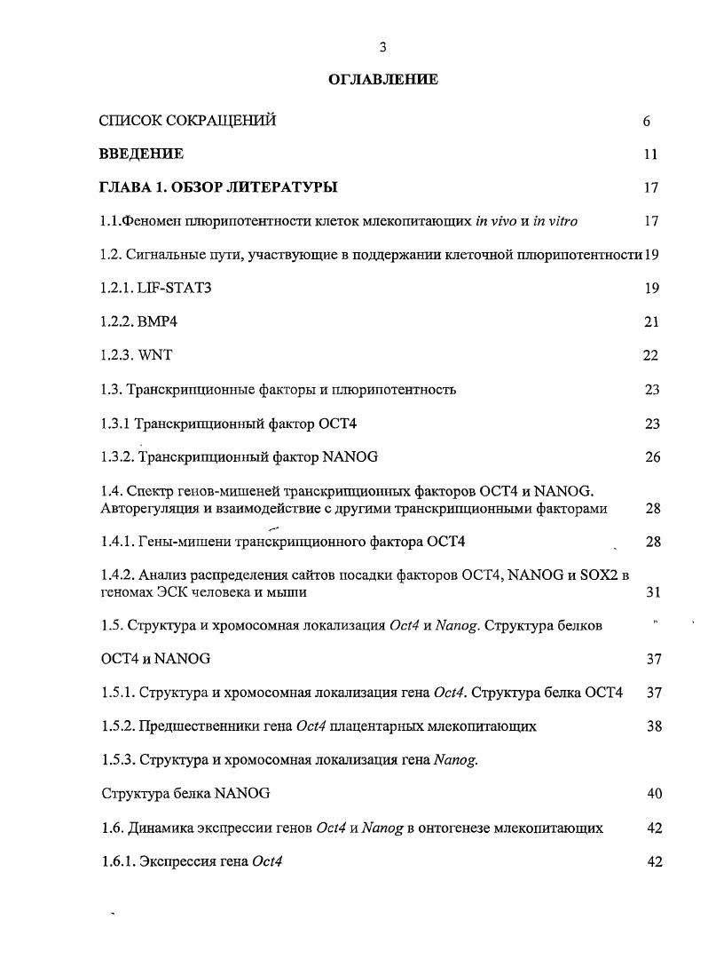 1.2. Сигнальные пути, участвующие в пощержании клеточной плюринотентности 