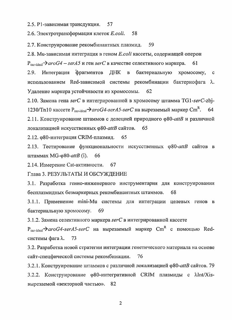 1.1.2. ДНКинженерия на основе гомологичной рекомбинации. 