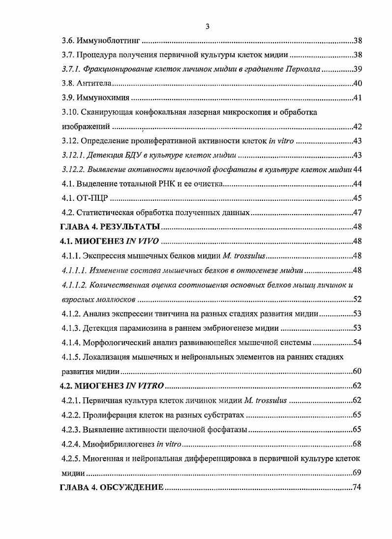 1.4. Анатомия мышц взрослых двустворчатых моллюсков.