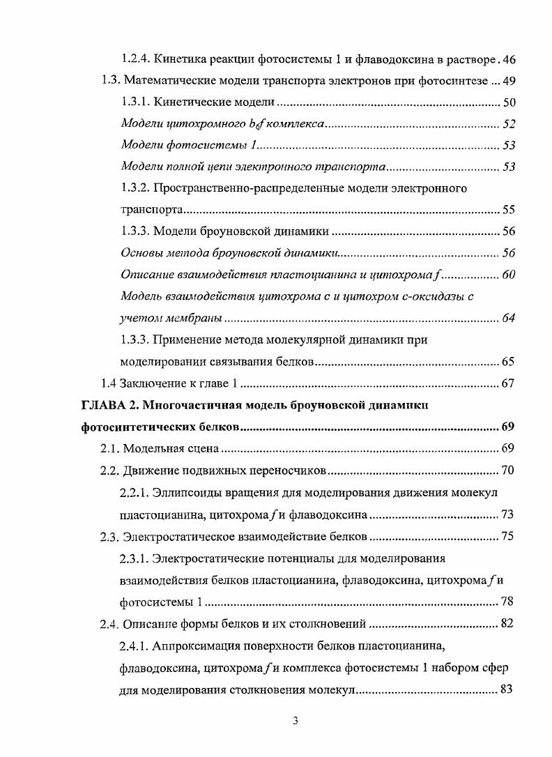 1.1.1. Пространственная организация хлоропласта и тилакоидной мембраны