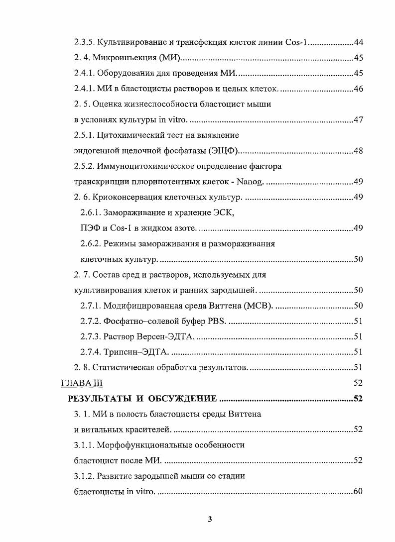 1. 3. Ранний эмбриогенез мыши, стадия бластоцисты