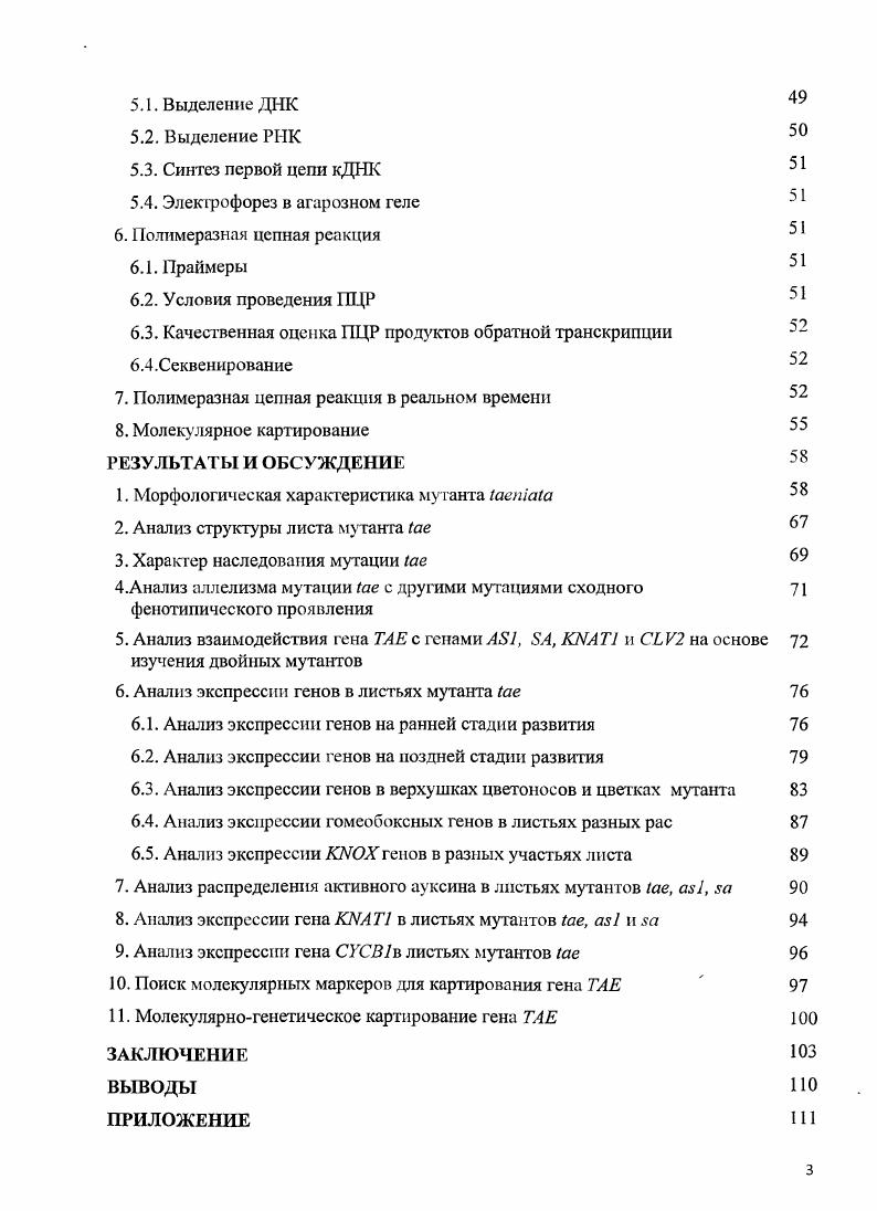 2. Фитогормоигл в функционировании апикальной меристемы 