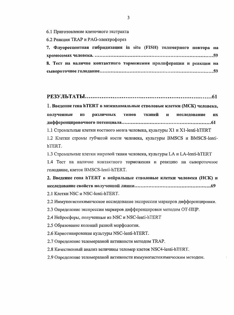 1.2 Клетки стромы губчатой кости человека, культура .