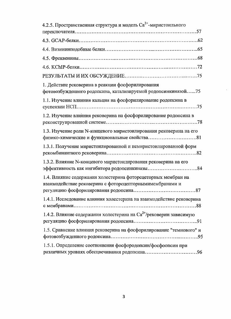 1.2. Морфология и состав наружных сегментов палочек