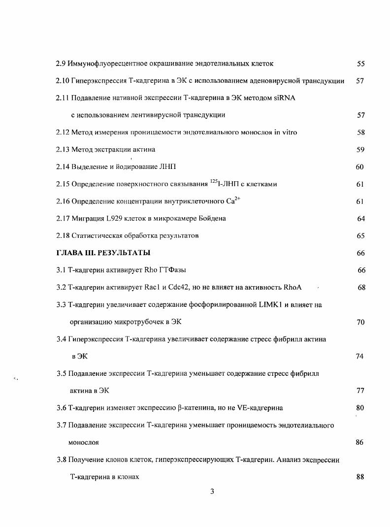 1.4 Механизмы регуляции проницаемости эндотелия 