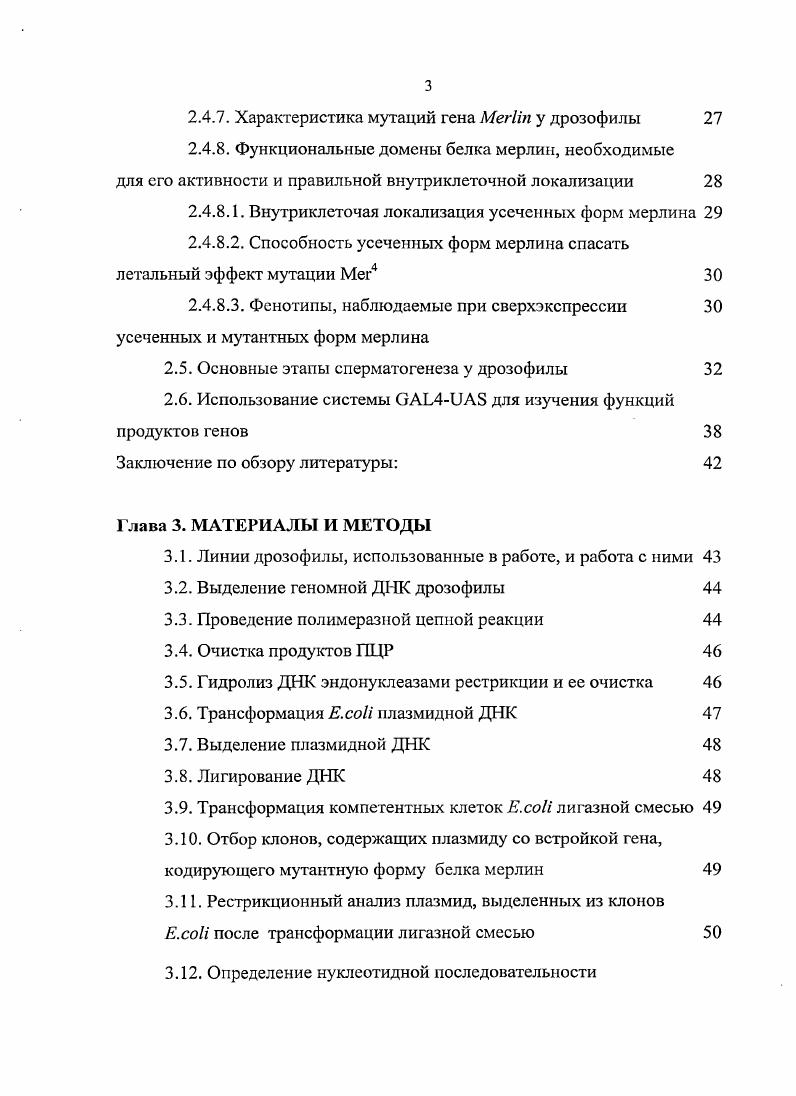 Таким образом, он является удобной экспериментальной моделью для изучения функций белков на клеточном и молекулярном уровнях. Нами было обнаружено, что мутация Мег3 влияет на процессы компактизации ядер и поляризации цисты, что приводит к серьезным нарушениям сперматогенеза на стадии индивидуализации спермиев, что и вызывает стерильность самцов. Ранее было показано, что мутация Мег затрагивает особый участок белка x , который идентичен у человеческого и дрозофилиного гомологов белка. Он имеет важное значение для правильного функционирования белка . Спецификой нашей работы является использование модифицированного вектора , который позволяет достичь высокого уровня экспрессии белков в генеративных тканях дрозофилы , . Чтобы определить функционально значимые районы белка, необходимые для правильного протекания сперматогенеза дрозофилы, мы создали конструкции на основе вектора , кодирующие различные мутантные формы мерлина. Нами было показано, что белок мерлин, который является туморсупрессором в соматических тканях дрозофилы, играет существенную роль в процессах сперматогенеза. В частности, открытая форма белка участвует в агломерации митохондрий на стадии луковицы, а закрытая влияет на цитокинез в мейозе. Таким образом, в соматической и генеративной тканях мерлин функционирует поразному. Целыо данной работы было изучение клеточных функций гена i на модели сперматогенеза i . Показать роль белка мерлин в сперматогенезе . Изучить локализацию белка мерлин в клетках зародышевого пути самцов . Получить линии дрозофилы, содержащие встройки последовательностей, кодирующих различные усеченные формы белка мерлин, в векторе , который позволяет экспрессировать целевой трансген в клетках зародышевой линии самцов . Проанализировать эктопическую экспрессию конструкций в составе вектора , содержащем последовательности, кодирующие различные усеченные формы белка мерлин, в клетках зародышевого пути и в соматической ткани самцов . Проанализировать особенности и возможные аномалии сперматогенеза, вызванные эктопической экспрессией трансгенных конструкций в клетках зародышевой линии дрозофилы. Основываясь на результатах анализа сперматогенеза дрозофилы при эктопической экспрессии полноразмерной и усеченных копий белка мерлин, определить роль различных доменов белка в выполнении его функций. Впервые, на модели сперматогенеза i были изучены клеточные функции белка мерлин, оказывающие влияние на сперматогенез i влияние на цитокинез, на поляризацию цист и морфогенез митохондрий, и изучено взаимодействие белка мерлин и колокализация с клеточными структурами. Получены линии мух, несущие последовательности, кодирующие различные аллели гена i в векторе , позволяющем получить эктопическую экспрессию трансгенных конструкций в клетках зародышего пути. Основные результаты исследований были представлены в стендовых докладах на Международной конференции по исследованию дрозофилы 8 июль г. Япония, Кобе и на X Международной молодежной Школеконференции сентябрь г. I Международной конференции Дрозофила в экспериментальной генетике и биологии сентябрь г. Украина, Харьков. Диссертация содержит следующие разделы введение, обзор литературы, материалы и методы, результаты, обсуждение, заключение, выводы, список литературы. Работа изложена на 3 страницах, включает рисунка, 3 таблицы, список цитируемой литературы включает 5 ссылок. По теме диссертации опубликовано 7 работ. V., v Е. М., , v . V. i i i i i. Юдина , Гусачснко , Лхмаметьева , Омельянчук Л. В. Нерасхожденис хромосом в линиях дрозофилы, мутантных по опухолевому супрессору i II Генетика. Т. . С. . Юдина О. С., Галимова Ю. А. Структурный анализ супрессора опухолей i с помощью трансгенных конструкций в сперматогенезе i. Н Информационный Вестник ВОГиС. Том . С. . Юдина О. С., Дорогова Н. В., Галимова Ю. А., Омельянчук Л. В. Различие функций супрессора опухолей i в соматической и генеративной тканях самцов дрозофилы Сборник научных статей I Международной конференции Дрозофила в экспериментальной генетике и биологии Харьков. С. . Болоболова Е. У., Дорогова Н. В., Юдина О. С., Омельянчук Л. В., Чанг Л. 