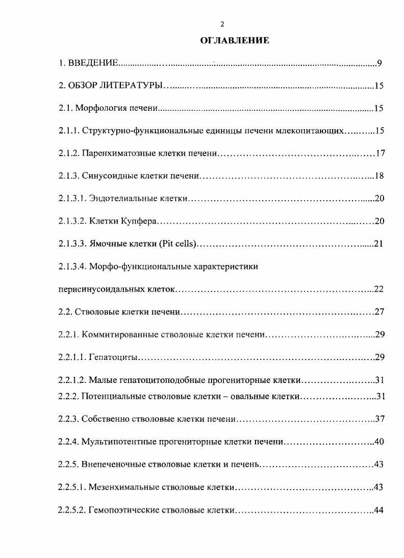 2.1.2. Паренхиматозные клетки печени.