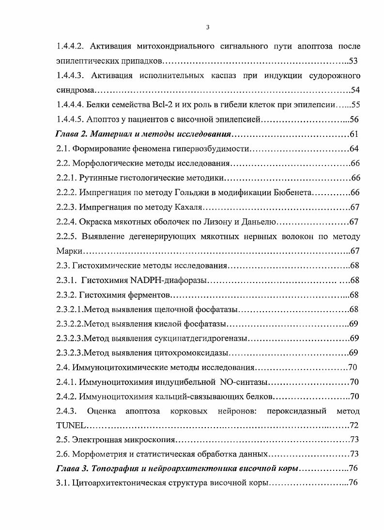 1.2.1. Кортикальные дисплазии и дисгенезии