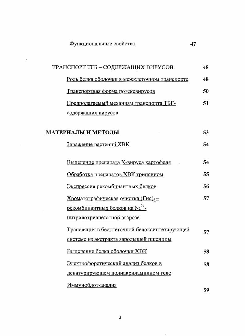 Организация генома вирусов семейства 