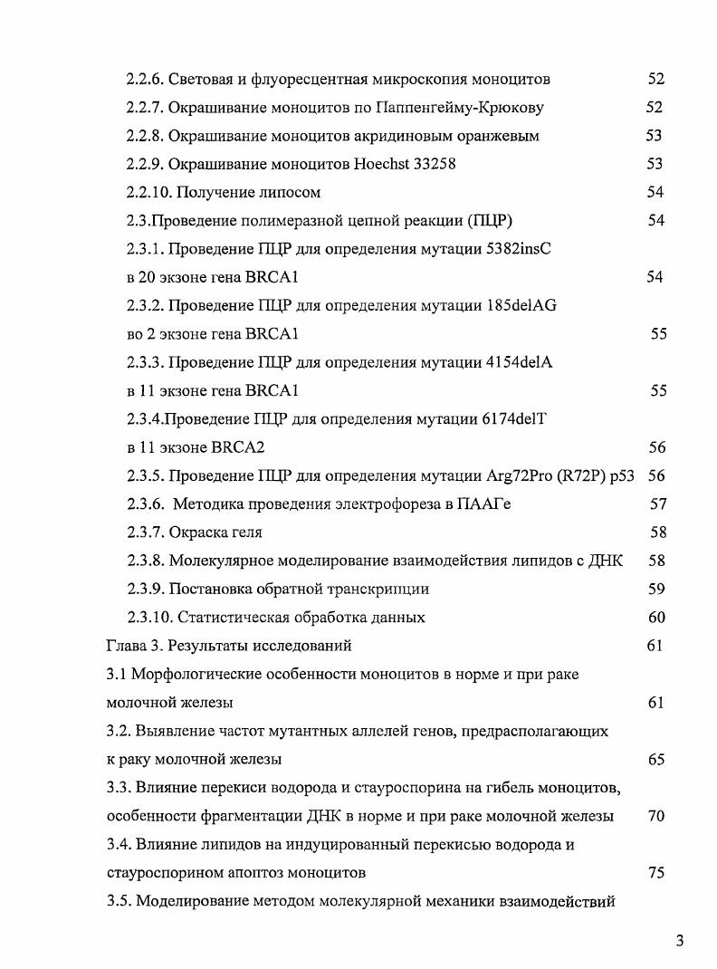 организация моноцитов и макрофагов 