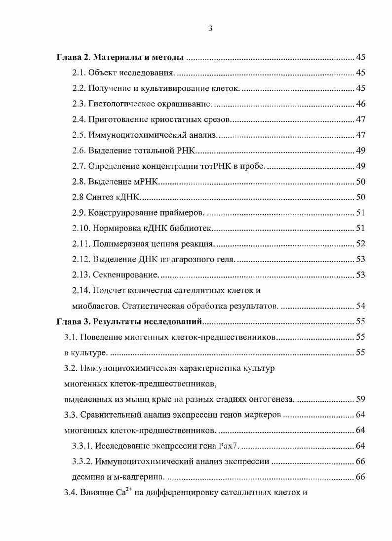 стволовые клетки взрослого организма