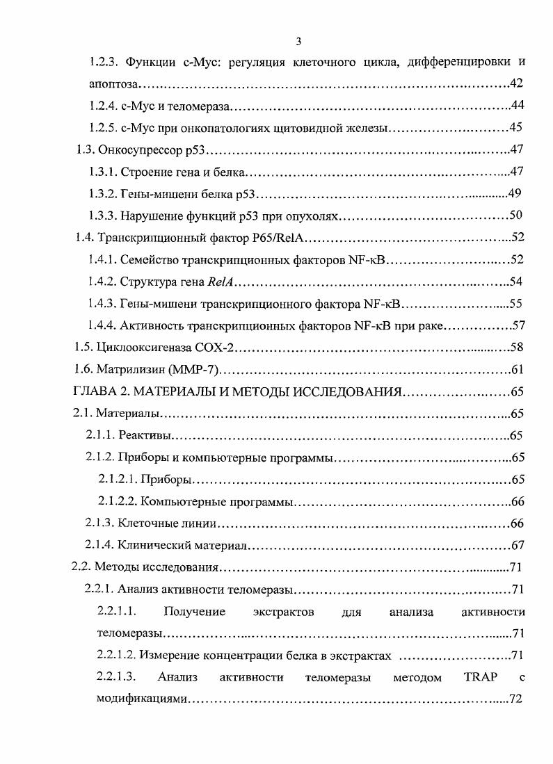 1.1.4.1. Каталитическая субъединица теломеразы 