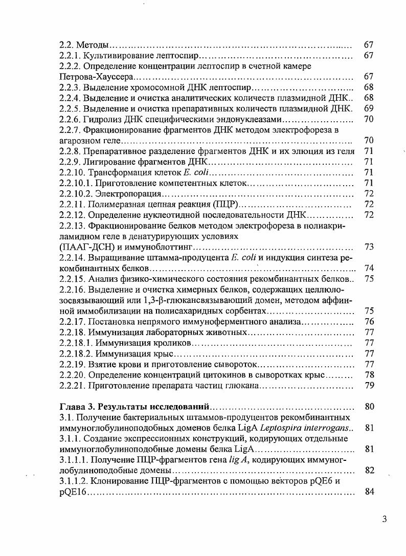 1.1.2. Морфология, культуральные и биохимические свойства. 