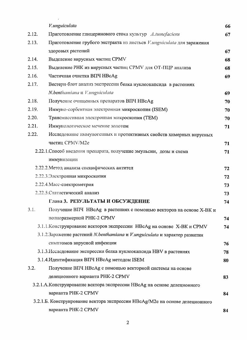 1.2.1.Системы презентации эпитопов на основе палочковидных вирусов 