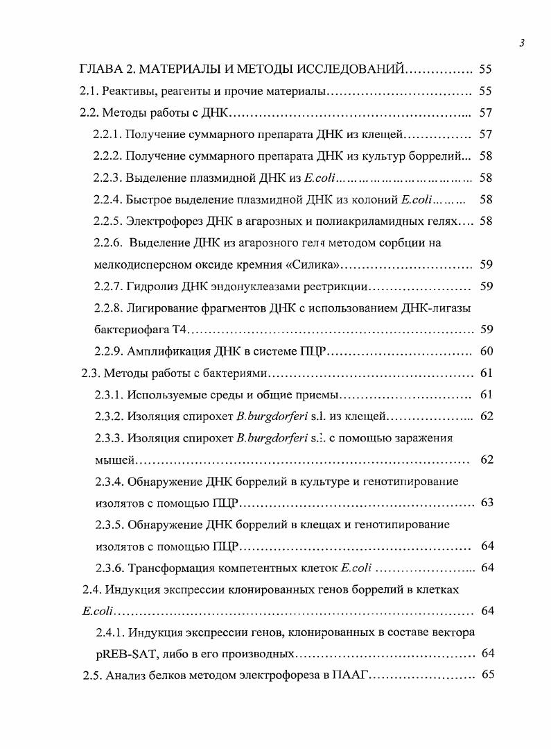 1.1.1. История открытия возбудителя ИКБ. 